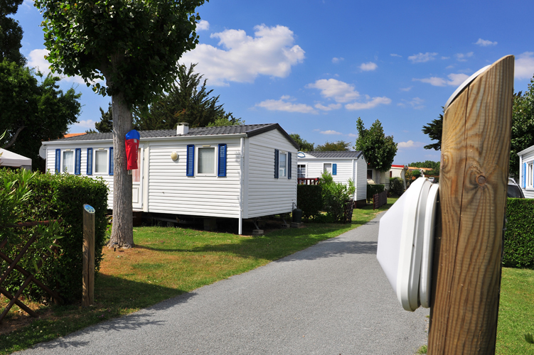 Promo camping les Dinosaures