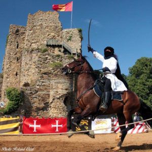 Chateau de Talmont St Hilaire