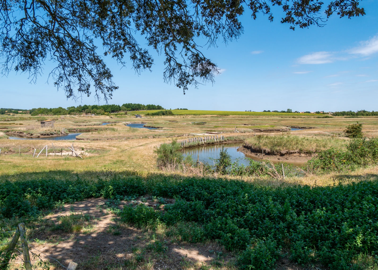 Marais Talmont St Hilaire