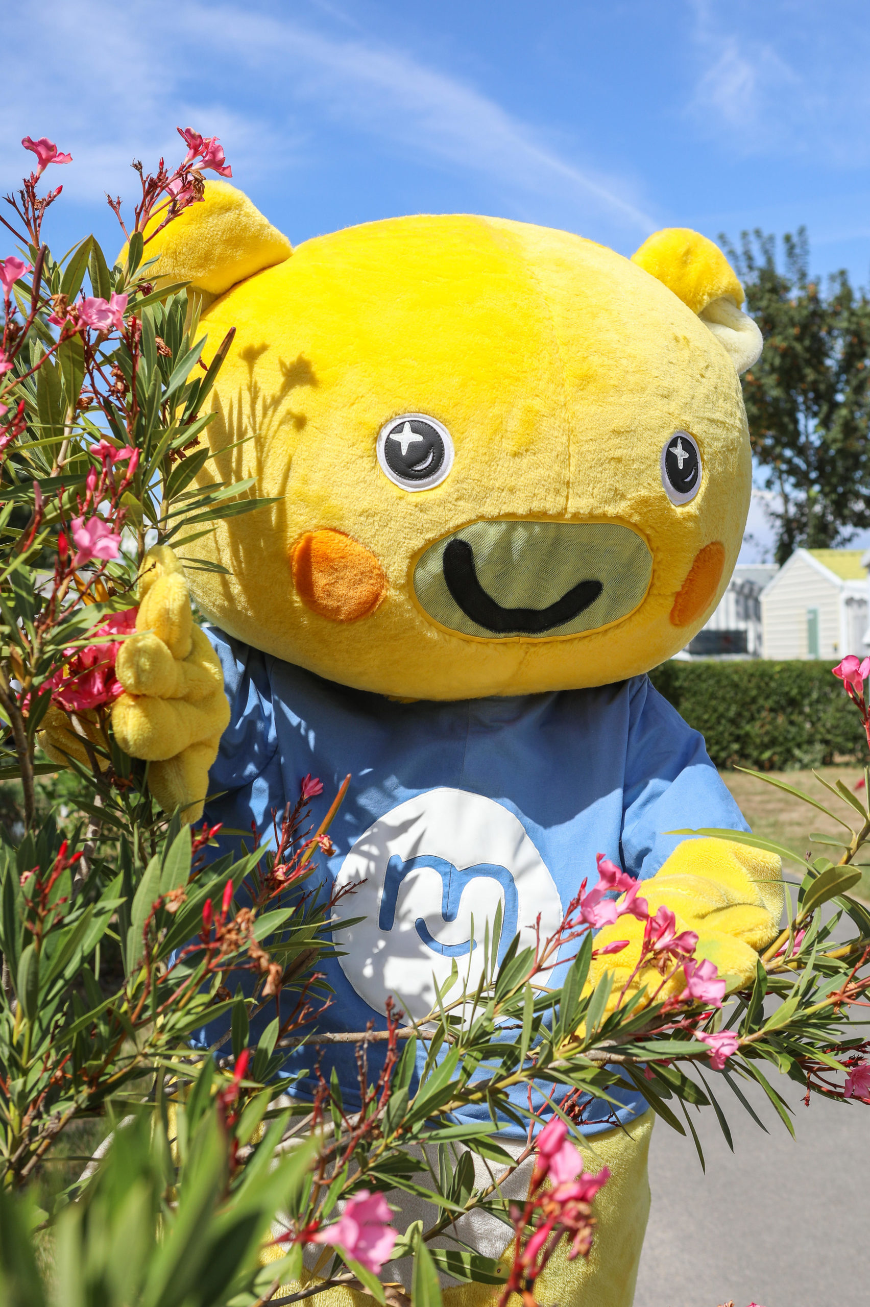 Mascotte Camping Vendée