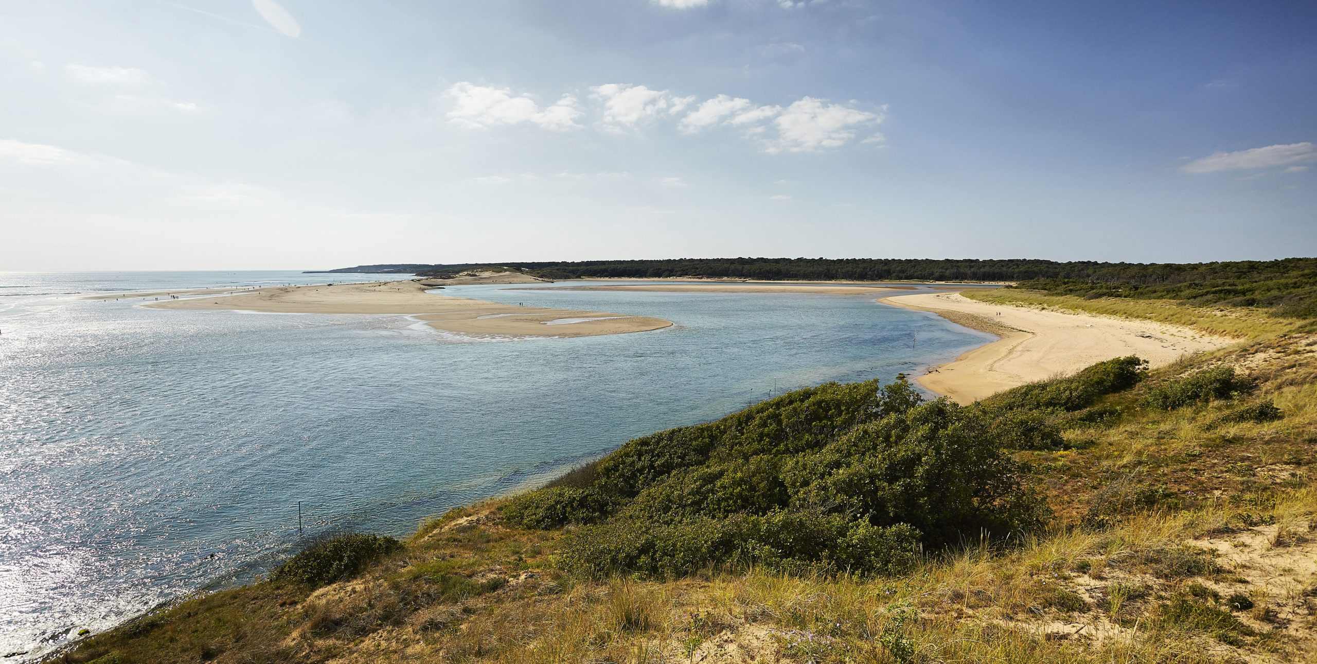 Randonnées pédestres Talmont Saint Hilaire, Estuaire du Payré