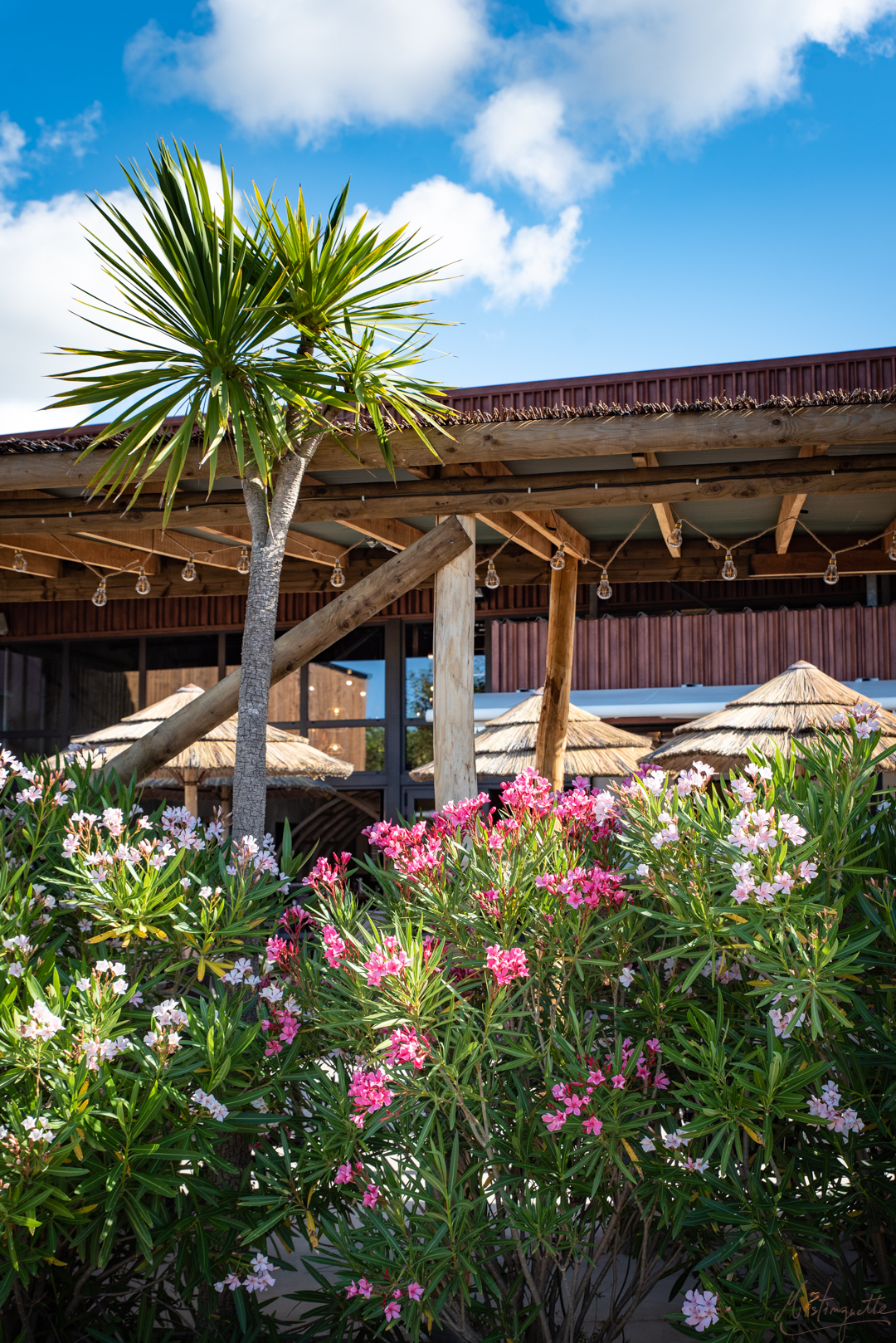 Restaurant avec terrasse, l'Abri des Dinos