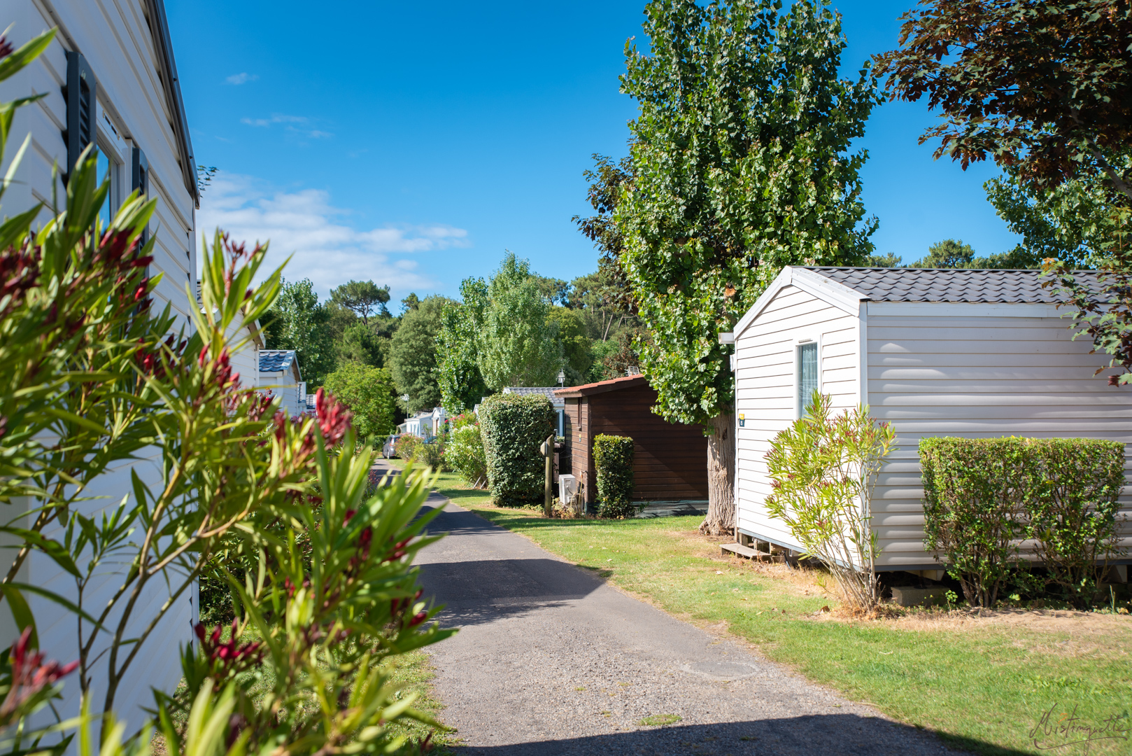 Hébergements Camping Vendée
